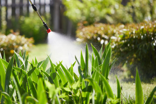 24/7 Emergency Wasp Removal experts in Mecca, CA